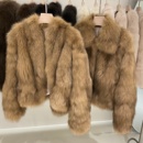 进口蓝狐坎毛晕染霜色V领短款 霜华映月 狐狸毛皮草外套女