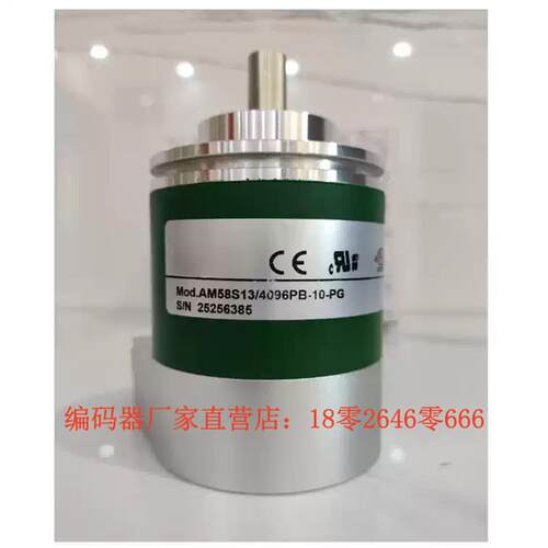 AM58S13/4096PB-10-PG