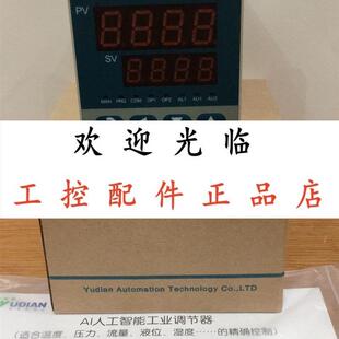 温度控制仪_宇电_AI2181A1GL0 AI704MEJ0J0L1L5S6 DK518PAX3L0
