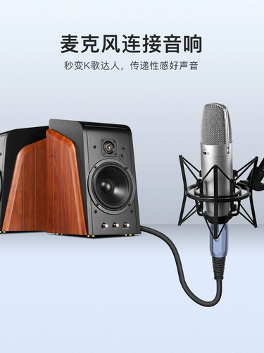 Akihabara 6,5/6,35 мм перенос XXX Мужской и женский звуковой кабель второкурсник -микрофонный кабель микрофон микрофон