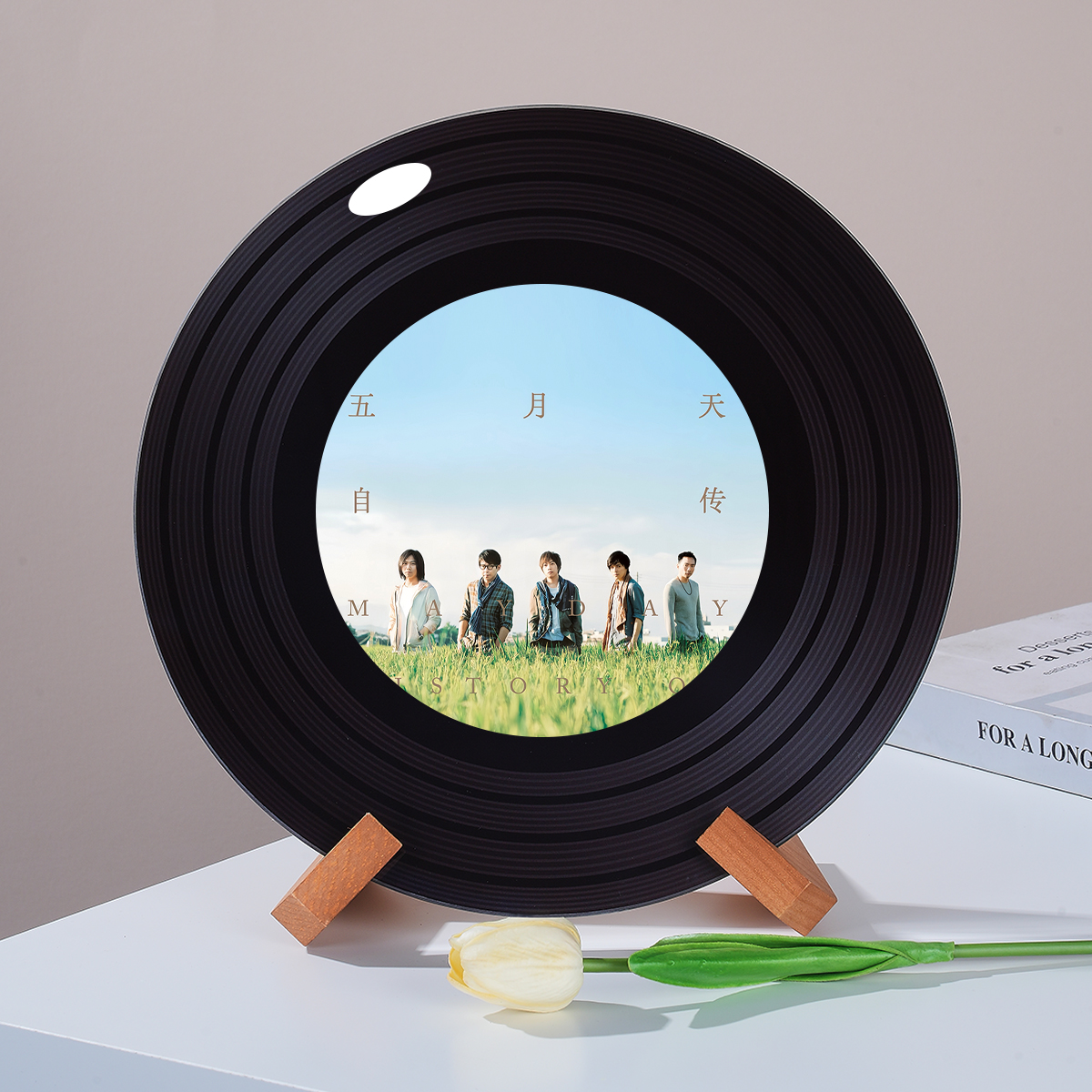 五月天可定制高档黑胶唱片摆件新家电视柜壁龛桌面摆件创意礼品物