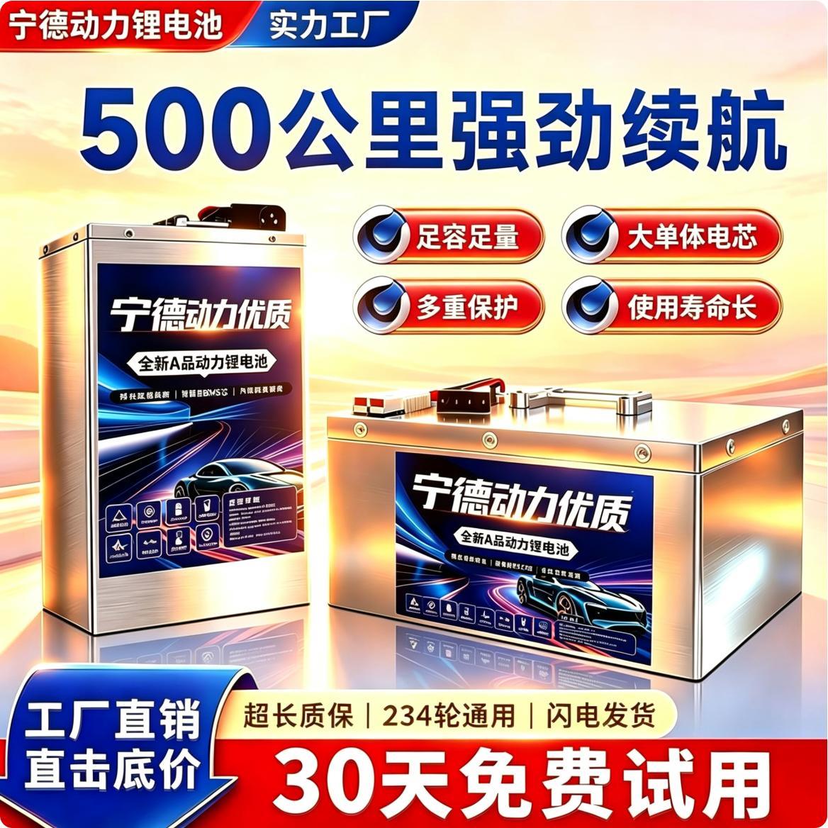 全新宁德三元锂磷酸铁锂电池二三四轮48V60V72伏电瓶电动车新能源