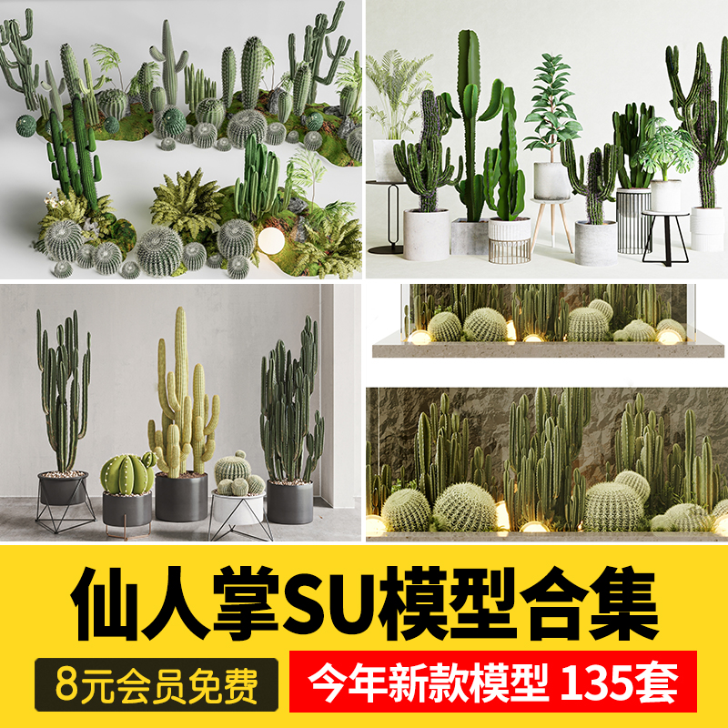 仙人掌仙人球棍热带多肉植物室内阳台露台盆栽草图大师su模型素材