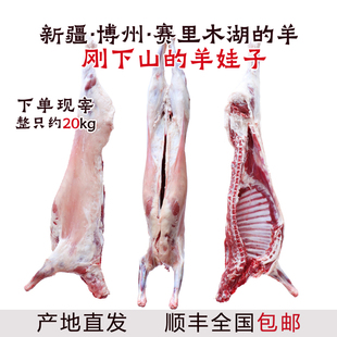 新疆博乐市赛里木湖新鲜整只小羊羔40斤羊肉全国顺丰包邮新鲜现杀
