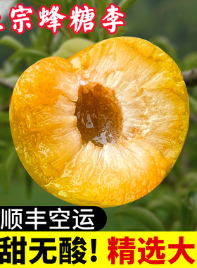 顺丰空运贵州镇宁六马蜂糖李新鲜应季现摘现发脱骨大李子孕妇水果