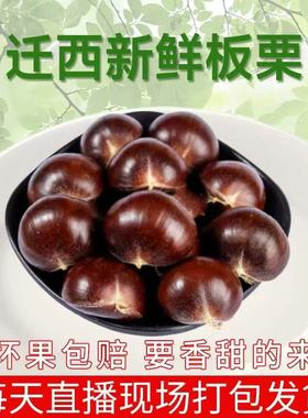 迁西板栗 鲜板栗 2025年生 鲜板栗 甘栗河北特产 板栗