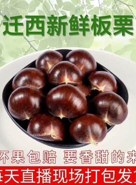 迁西板栗 鲜板栗 2025年生 鲜板栗 甘栗河北特产 板栗