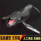 仿真动物模型海洋生物座头鲸大翅鲸驼背鲸巨臂鲸儿童玩具男女礼物