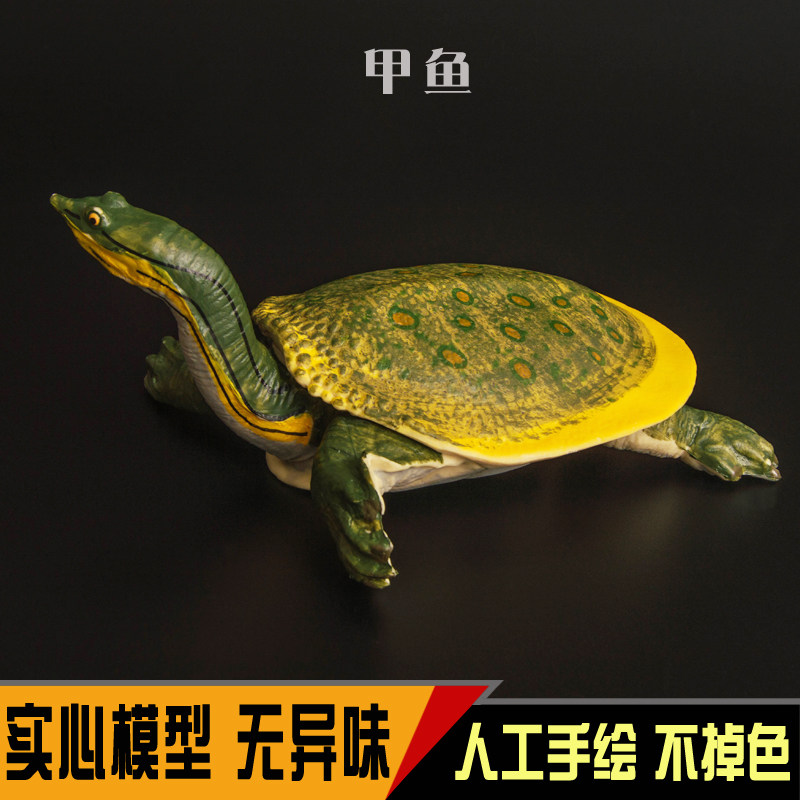 野生爬行动物仿真塑胶实心模型玩具甲鱼鲨鳖王八乌龟儿童礼物包邮