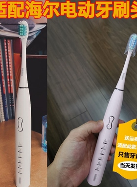 适配Haier/海尔电动牙刷头HB551-01/02型成人情侣通用替换头5支装