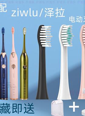 适配日本ziwlu泽拉电动牙刷头P1/X9SDlSP1/FSP2/ZLP1/A156/H2YA