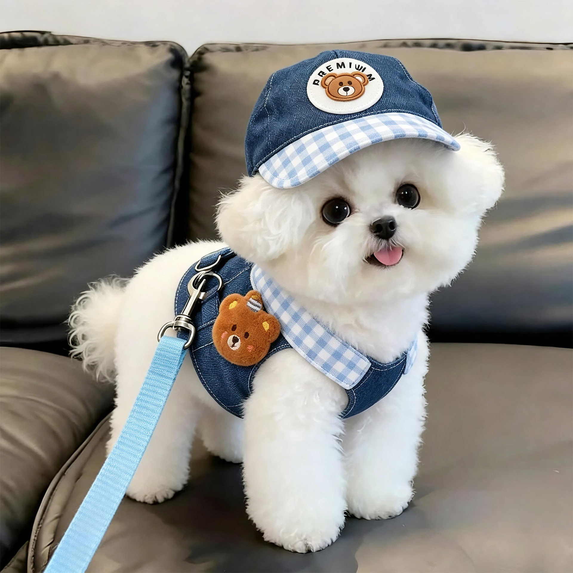 狗狗衣服2026新款牛仔胸背套装可爱遮阳帽子猫狗外出专用宠物牵引