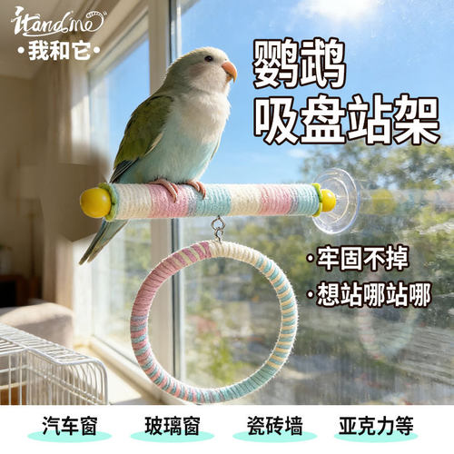 跨境鹦鹉玩具彩色棉绳旋转攀爬绳索站杆秋千吊环爬圈耐啃咬鸟玩具