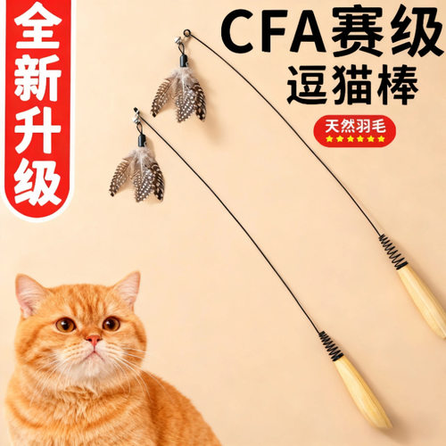 CFA赛级木柄逗猫棒羽毛铃铛可拆卸替换头猫玩具耐用耐抓宠物玩具