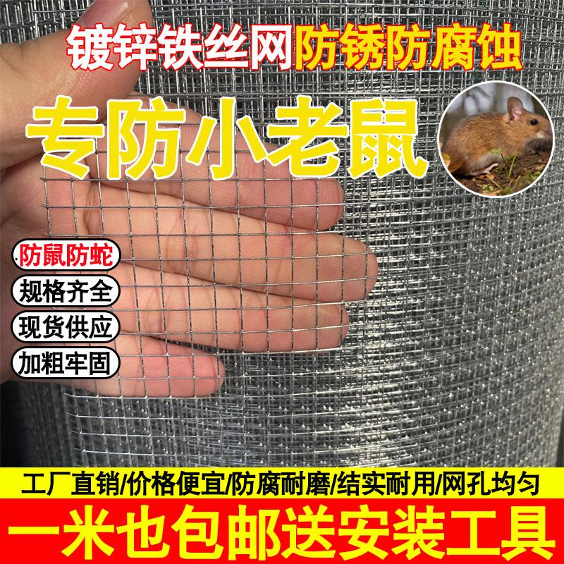 热镀锌钢丝网防老鼠铁丝网小网格鸟笼网片窗户防鼠网阳台防护封窗
