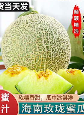 海南直发甜瓜玫珑蜜瓜网纹瓜蜜瓜5斤包邮新鲜孕妇应季水果整箱