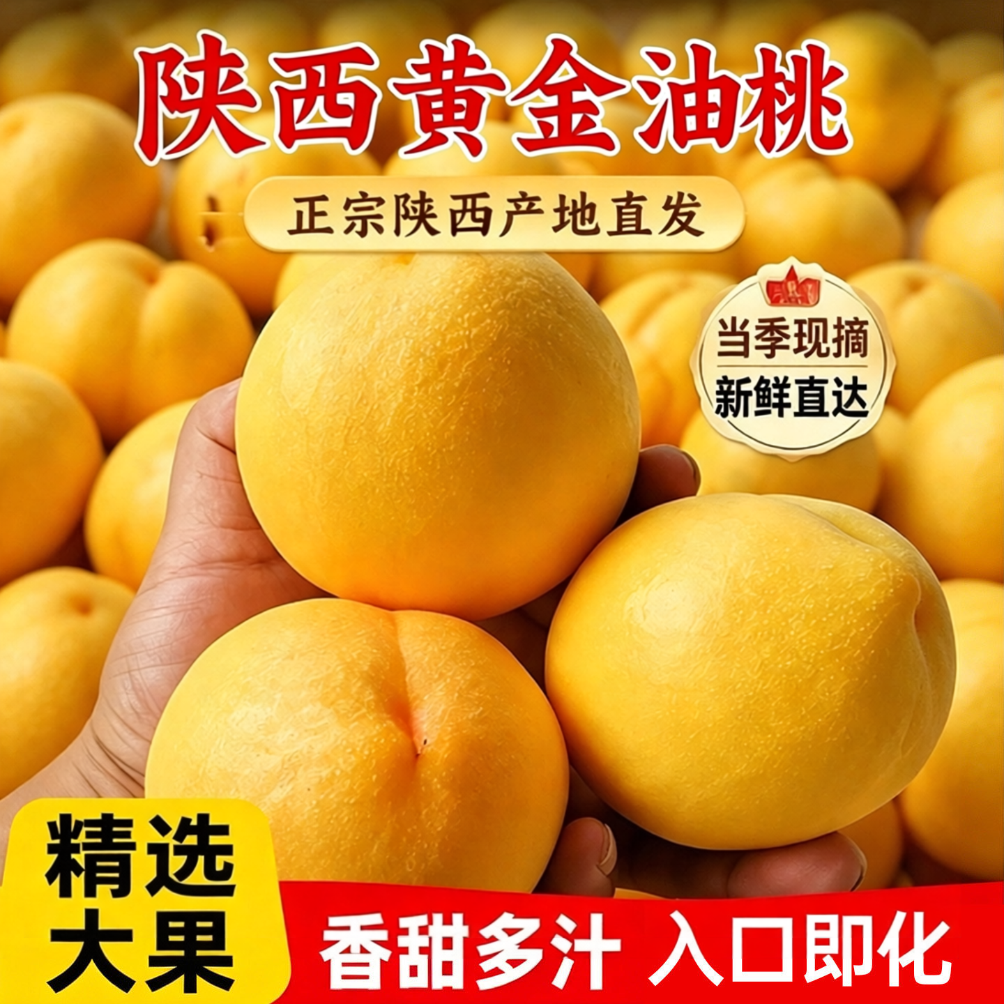 陕西礼泉黄金芒果油桃5斤包邮