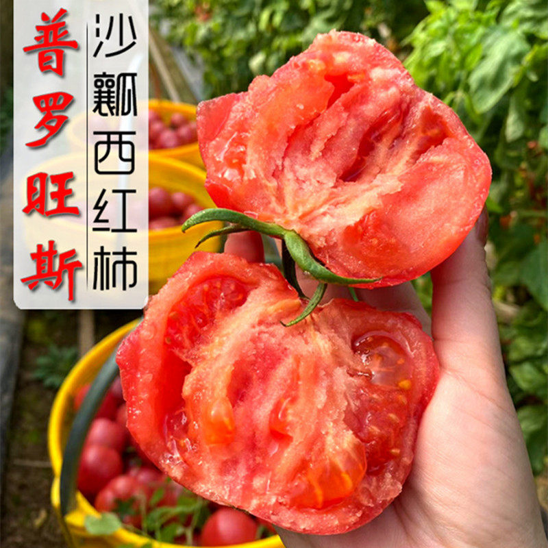 陕西泾阳普罗旺斯水果西红柿5斤包邮新鲜生吃自然熟孕妇沙瓤番茄高性价比高么？