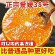 新鲜应季 四川正宗爱媛橙38号果冻橙5斤 包邮 孕妇水果甜橙子整箱批
