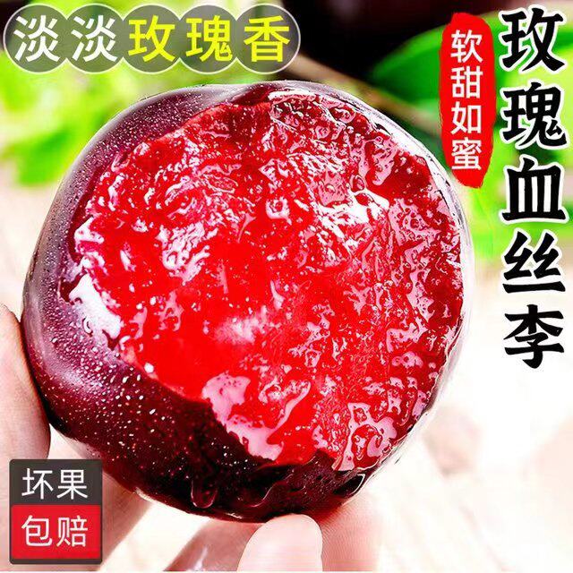 风味玫瑰李红心血丝李5斤包邮陕西红肉李子甜新鲜当季孕妇水果