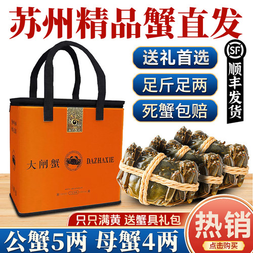 活蟹苏州阳澄蟹礼大闸蟹鲜活特大螃蟹公蟹5.0全母蟹4.0现货礼盒装