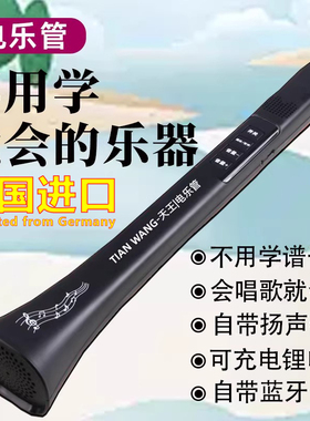 德国进口会唱歌就会的乐器电乐管自带蓝牙新型乐器不用学就会吹