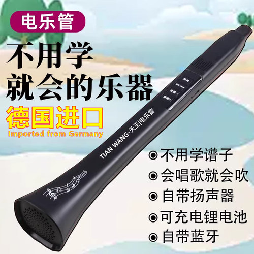 德国进口会唱歌就会的乐器电乐管