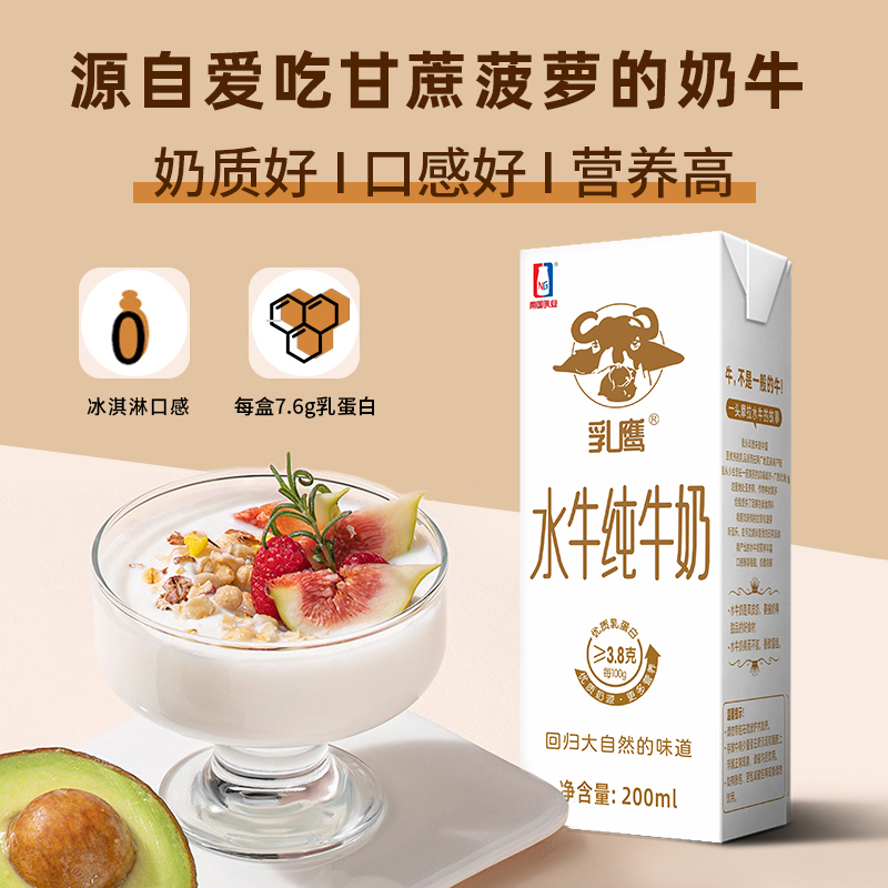 广西乳鹰水牛纯牛奶营养好喝