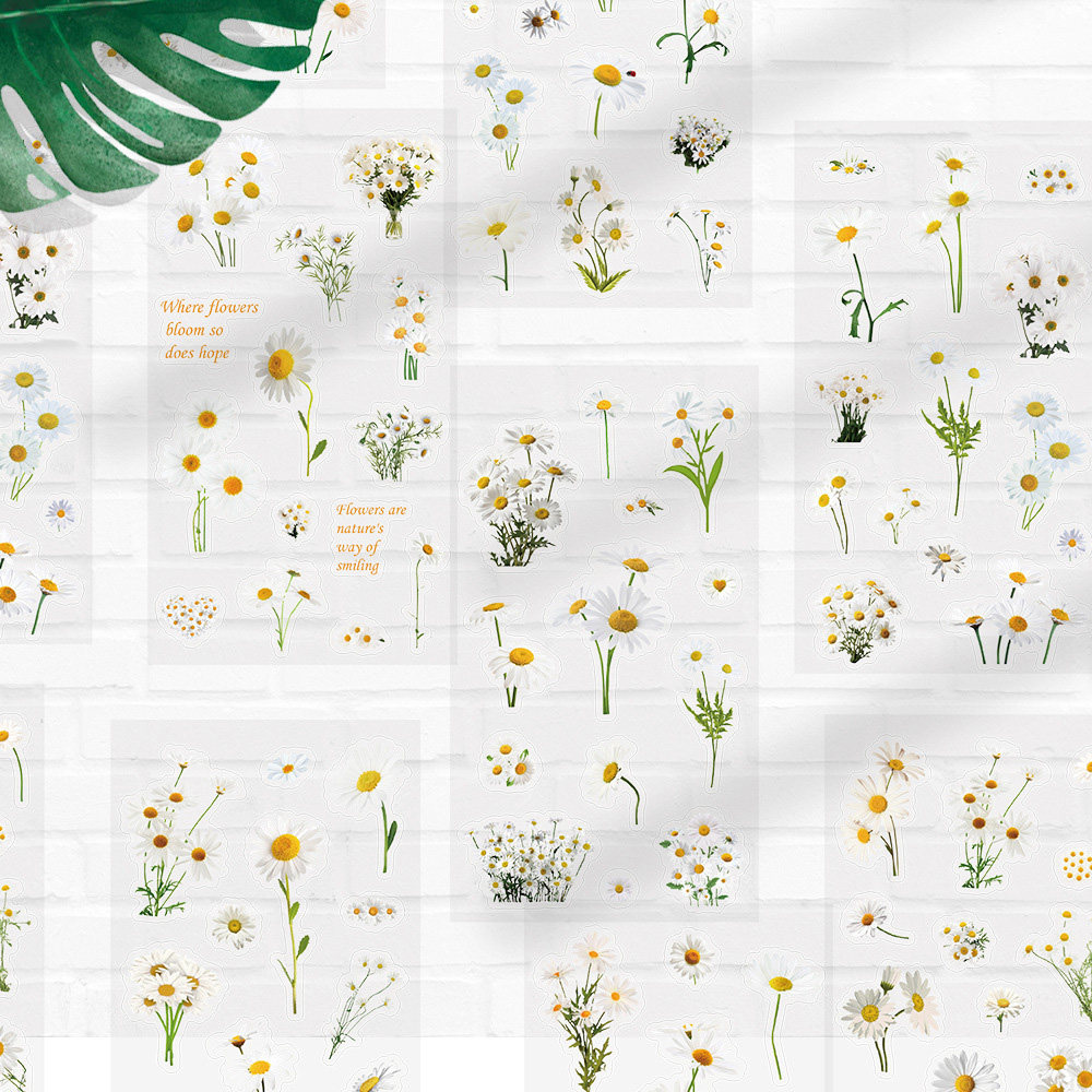 12张小雏菊花卉透明PET贴纸ins小清新精美植物素材手账笔记本