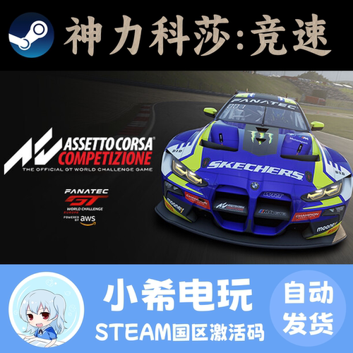 Steam神力科莎：竞速正版CDKEY