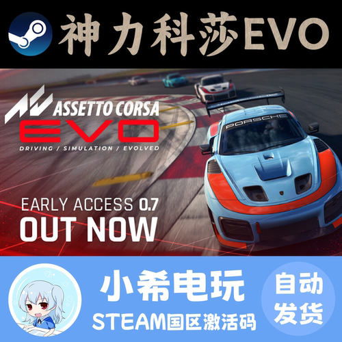 Steam神力科莎EVO正版CDKEY