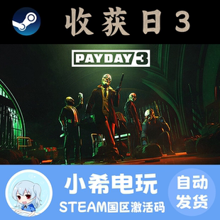 Steam PAYDAY3 (收获日3) 正版游戏激活码CDKEY 国区PC 合作动作