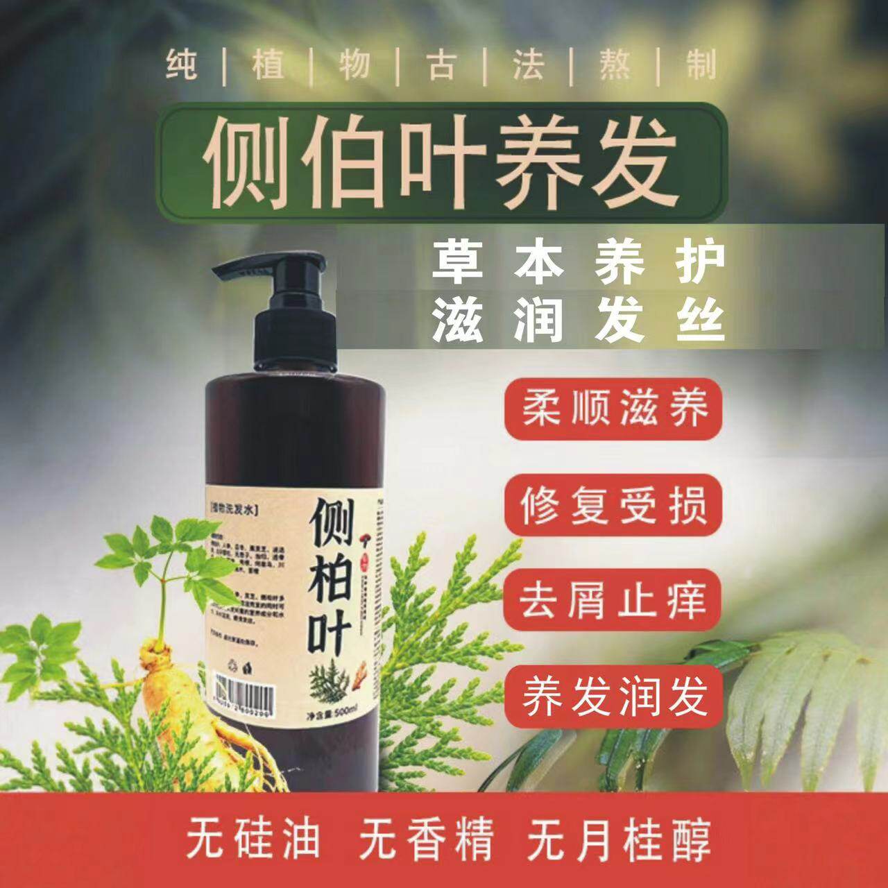 植物侧柏叶洗头水男女士洗发养发去油头学生清洁