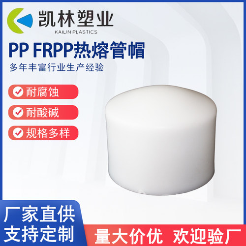 PP热熔管帽堵头DN15-DN100