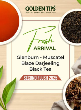 2025夏摘格伦本大吉岭夏摘红麝香葡萄香味blaze印度进口茶叶100g