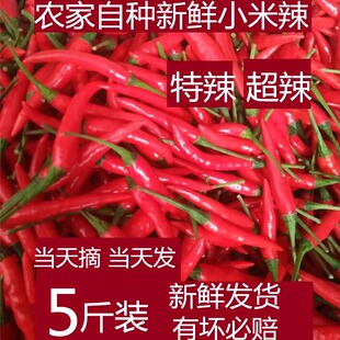 四川小米辣新鲜辣椒朝天椒红海椒产地现摘现发指天椒农家当季蔬菜