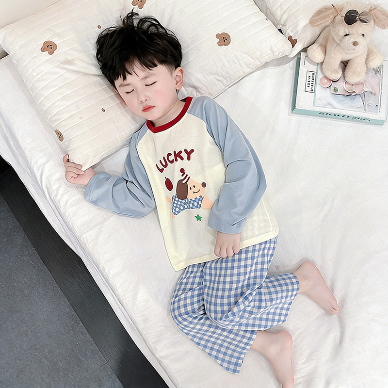 儿童睡衣男童春秋季a类纯棉长袖2026新款男童宝宝家居服卡通套装
