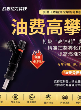 升级改装18孔喷油嘴 适用凯美瑞RAV4佳美普瑞维亚2.4/2.0 1AZ 2AZ