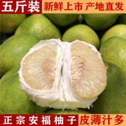 江西安福柚子老树井冈山金兰柚新鲜孕妇级蚕子薄皮老树白心蜜柚子