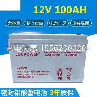 乐珀尔蓄电池6-GFM-100 12V100AH 直流屏 UPS电源 中小型企业数据
