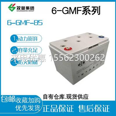 双登蓄电池6-GFM-85消防主机电力系统后备应急专用通讯12V85AH