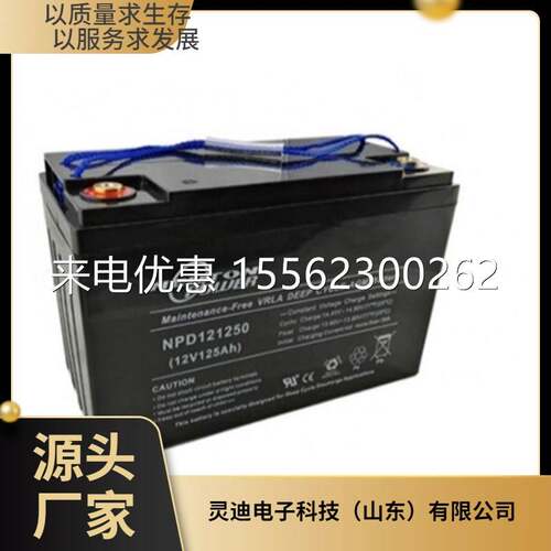 NEUTON POWER蓄电池NPL12120 12V120AH精密仪器 直流屏UPS电源配