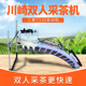 川崎SV100双人采茶机汽油机弧形茶园茶叶采摘机自动采茶修剪机