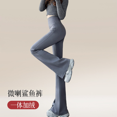 微喇鲨鱼裤女秋冬加绒加厚外穿新款高腰显瘦喇叭马蹄瑜伽打底长裤