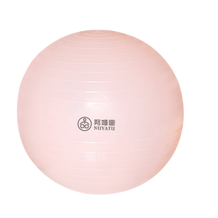 瑜伽球健身减肥孕妇顺产助产儿童感统训练大球加厚愉珈术球波比球