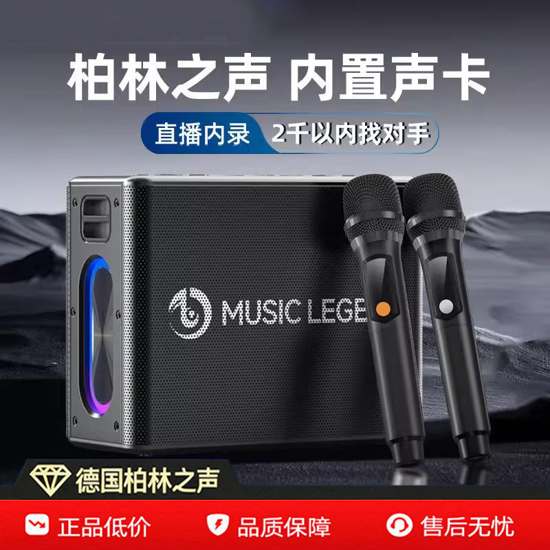 柏林之声蓝牙音响高音质大功率300W超重低音便携家用户外K歌音响