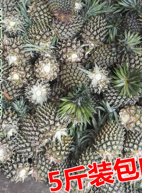 新鲜水果凤梨菠萝海南水果