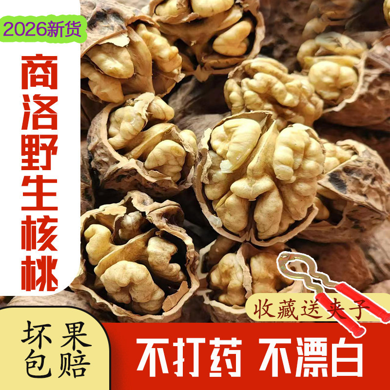 2026年陕西核桃野生老品种商洛核桃3斤装原味新鲜坚果零食干果