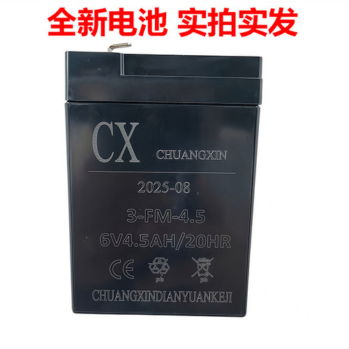 CX蓄电池3-FM-4.5儿童电动