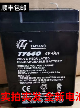 TAIYANG蓄电池TY640 6V4AH电子秤 折叠秤 吊钩秤 地磅秤 童车电池